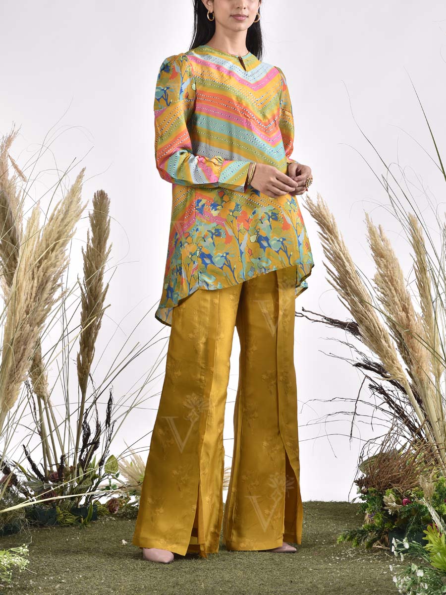 Multi Color Vasansi Silk Printed Co Ord Set