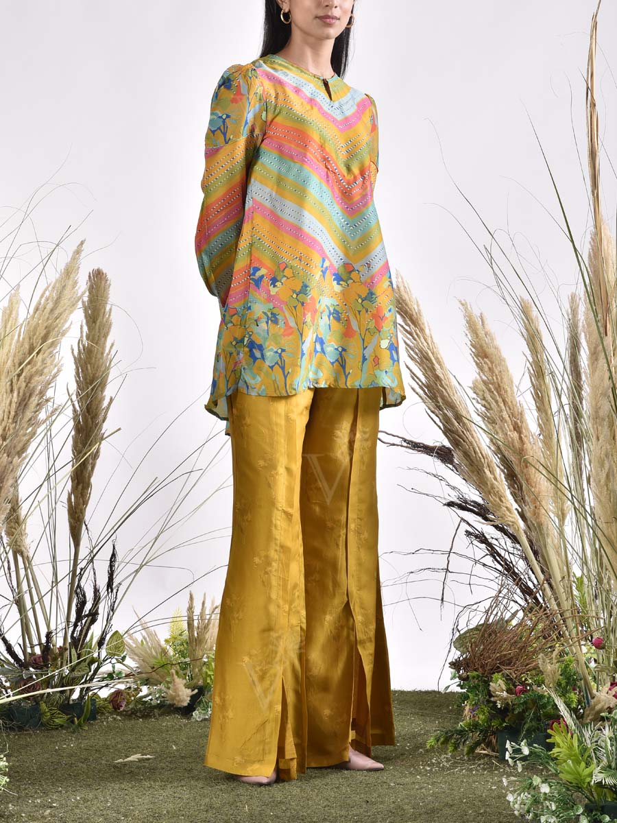 Multi Color Vasansi Silk Printed Co Ord Set