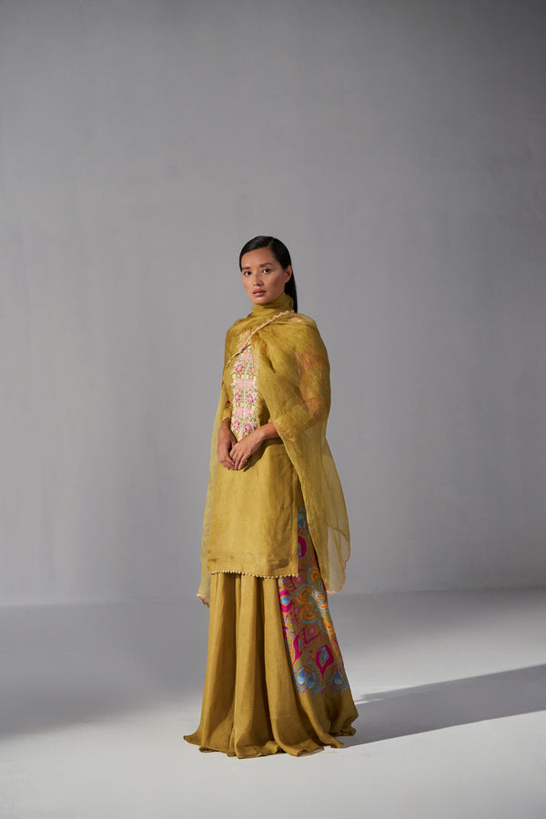 Olive green sharara kurta and dupatta set