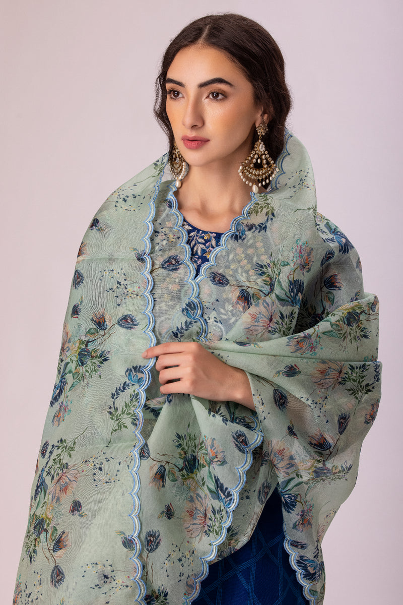 Embroidered Blue suit