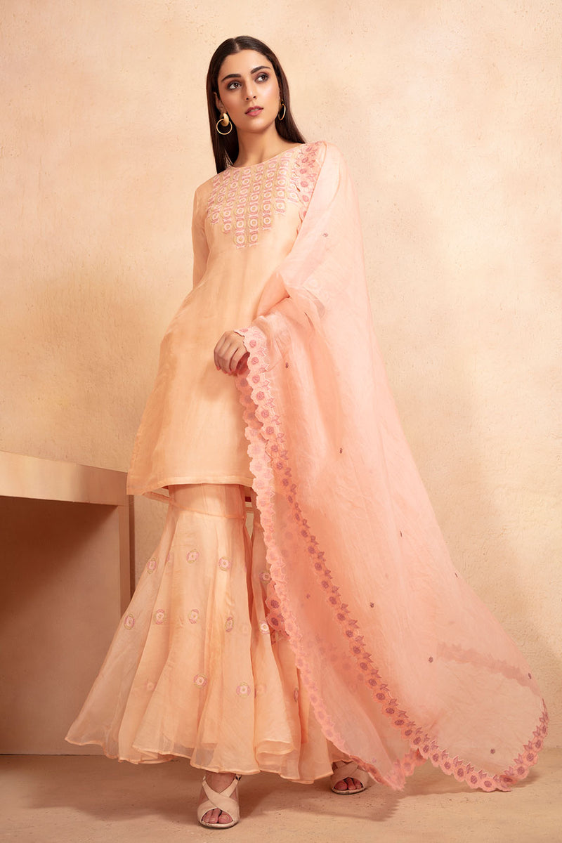 Beige and Pink Tunic and Sharara Set