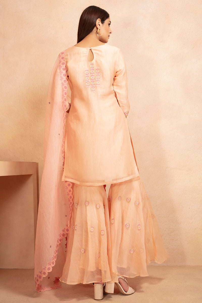 Beige and Pink Tunic and Sharara Set