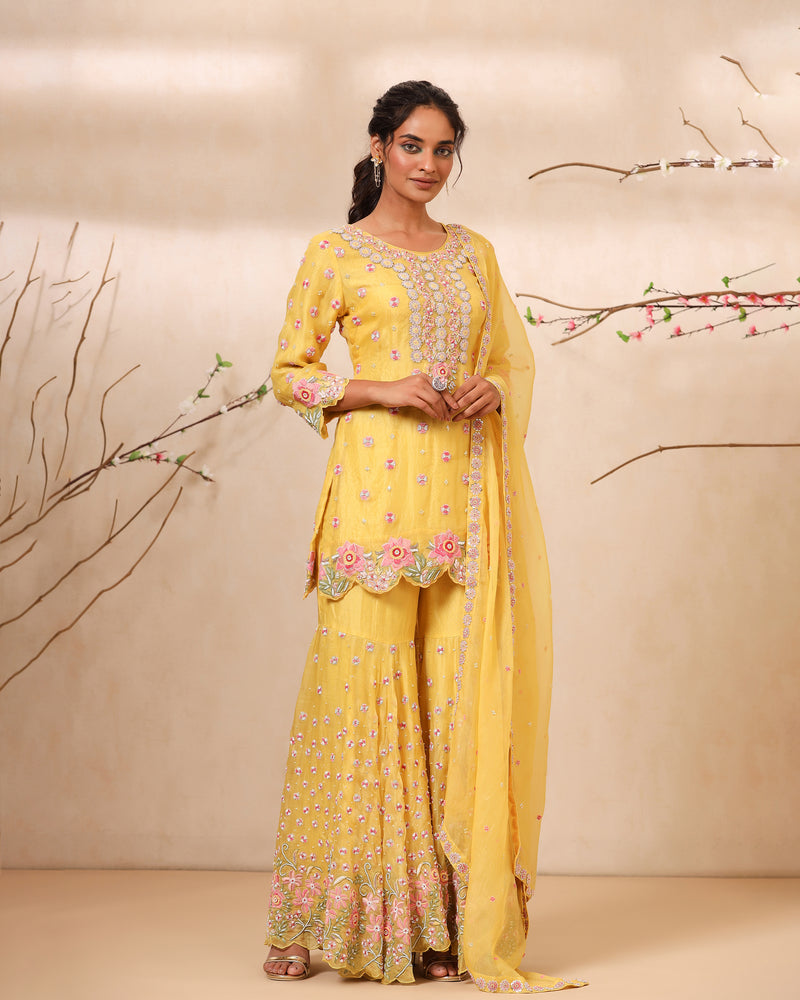Zardozi embroidered sharara