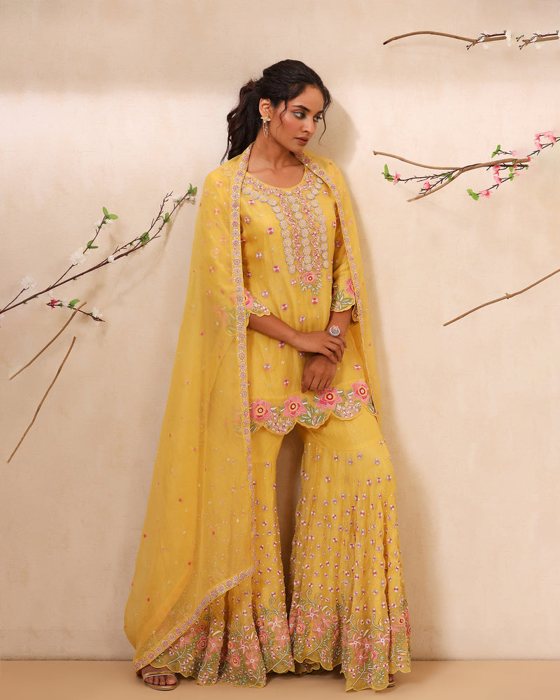 Zardozi embroidered sharara